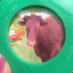 Meet your Posher, Sherry